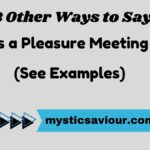 13 Other Ways to Say "It Was a Pleasure Meeting You" (See Examples)