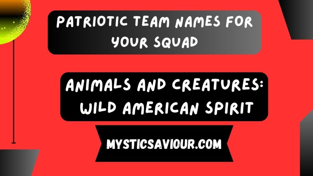 420+ Patriotic Team Names For Your Squad