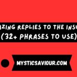 Amazing Replies To the Insult (32+ Phrases to use)