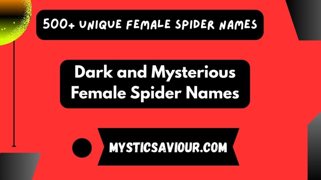 500+ Unique Female Spider Names: Creative and Inspiring Ideas