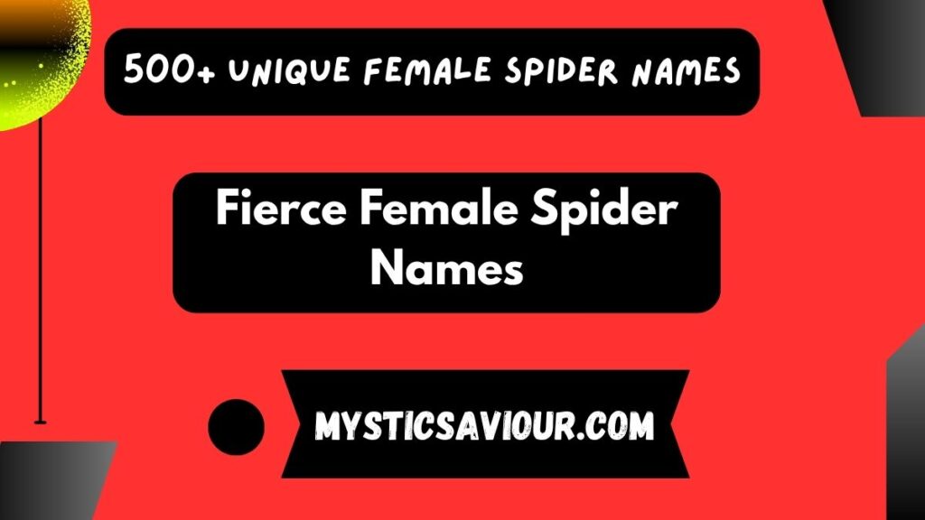 500+ Unique Female Spider Names: Creative and Inspiring Ideas