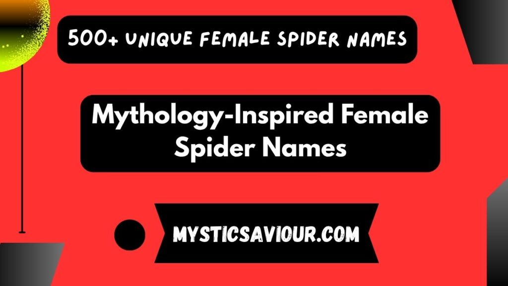 500+ Unique Female Spider Names: Creative and Inspiring Ideas