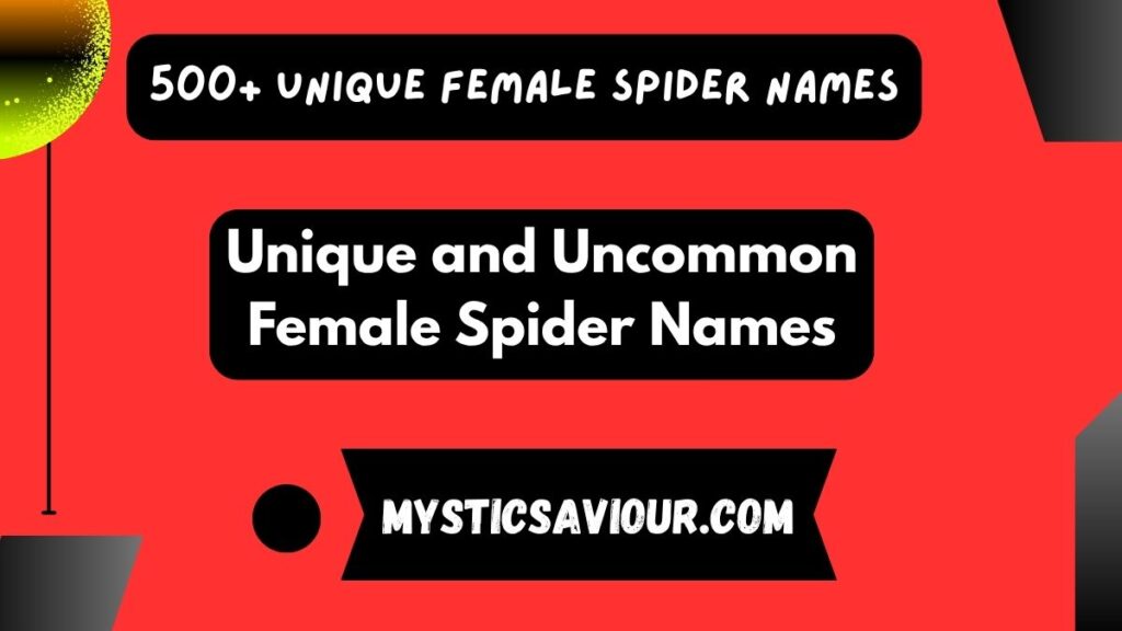 500+ Unique Female Spider Names: Creative and Inspiring Ideas