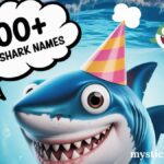 200+ Funny Shark Names​ (Inspired by Reddit)
