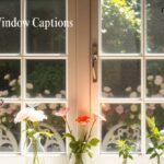220+Best Window Captions for Instagram in 2025